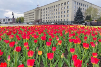 Ставрополь утопает в цветах ИА Stavropol.Media
