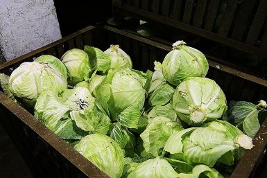 Квашеная капуста без шинковки – готовится целыми кочанами и всегда хрустящая Мария Оленникова, ИА IrkutskMedia