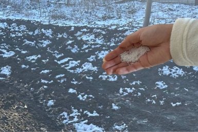 Ушлые дачники рассыпают такую муку в конце зимы - почва рыхла как от грабель ИА Stavropol.Media