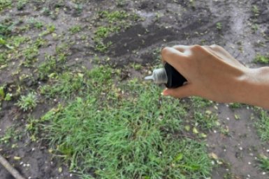 Трава сдалась без боя: 1 жидкость подчистую убрала сорняки с участка: мощнее уксуса и соли ИА Stavropol.Media