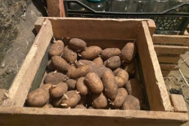 Капсула времени для урожая: заверните овощи в эту бумагу - хранятся свежими до весны ИА Stavropol.Media