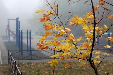Осень на Ставрополье Сергей Бумагин, ИА Stavropol.Media