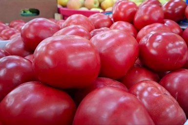 30 грамм на литр воды - и на томаты в октябре: никакая фитофтора не страшна ИА Stavropol.Media