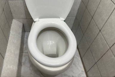 Наливаю это в унитаз на ночь — утром блестит, как после ремонта: секрет горничных раскрыт ИА Stavropol.Media