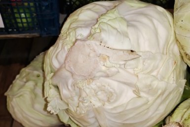 Капуста Автора