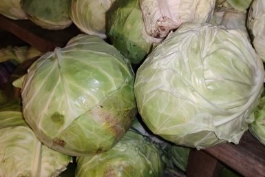 Капуста Автора