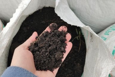 Грунт Автора