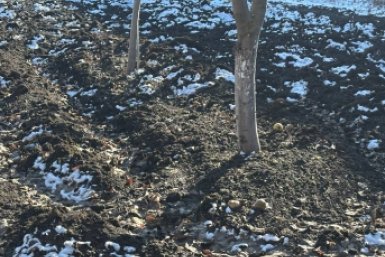 Круче золы и навоза:  кидаем на осенние грядки под конец ноября - почва мягче плюша ИА Stavropol.Media