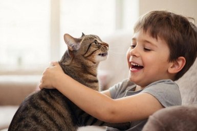 Не игрушка, а самый верный друг: 4 лучшие породы котов для семьи с детьми ИИ Kandinsky (18+)