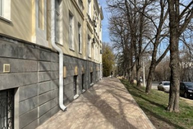 От дорог до &quotрасстрелянной берёзы&quot: о чём пишут жители Ставрополя на прямую линию мэра ИА Stavropol.Media