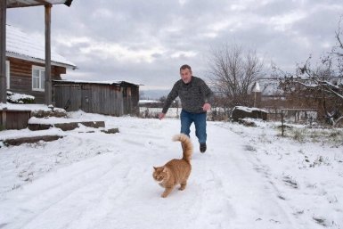 Ни один усатый не подойдет: как отучить чужих котов метить на участке - 10 способов ИИ GigaChat (18+)
