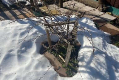 После схода снега - обязательно: что сделать весной в огороде - чек лист от агронома Давыдовой ИА StavropolMedia