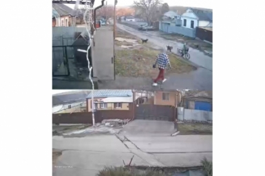 Собаки напали на мальчика в Ессентуках соцсети