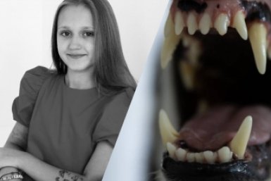 365 дней без Вероники: год назад стая собак загрызла 9-летнюю девочку в Ставрополе ИА Stavropol.Media