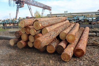 Уголовное дело за вывоз контрабанды лесоматериалов возбудили на Ставрополье Наталия Раткевич, ИА IrkutskMedia