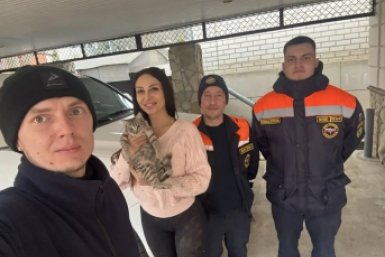Кошка застряла в бытовом приборе в станице Ессентукской Предгорья Соцсети Н. Бондаренко