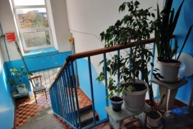 Новость дня