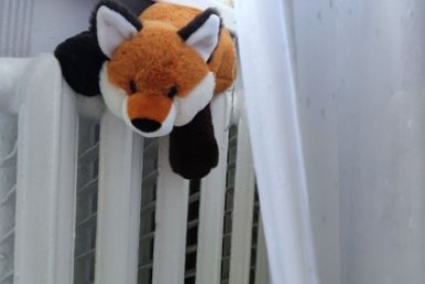 Новость дня