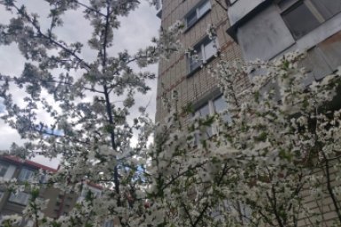 Контрастами температур удивит погода Ставрополья на выходных ИА Stavropol.Media