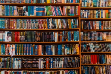 Квесты и фольклор: "Библионочь" пройдёт в культурных учреждениях Ставрополя