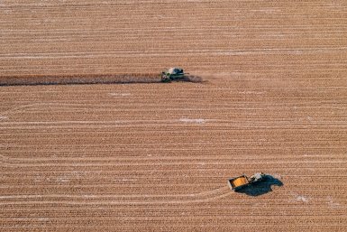 Износ системы орошения полей на Ставрополье достиг 85%, сообщили в Думе края Мария Смитюк, ИА PrimaMedia.ru