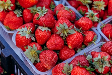 Новость дня