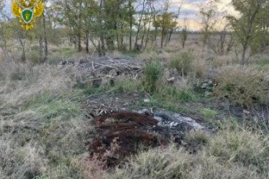Свалки на землях лесхоза ликвидировали по требованию прокуратуры на Ставрополье пресс-служба прокуратуры Ставрополья