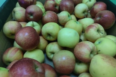 Новость дня