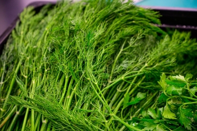 Зелень как из теплицы: ресторанные приемы продлят свежесть на 14 дней - магия кухни