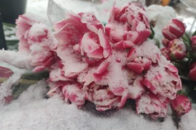 Мокрый снег и ветер до 18 м/с: на Ставрополье прогнозируют резкую смену погоды ИА Stavropol.Media