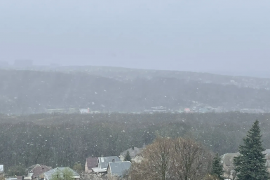 Новость дня