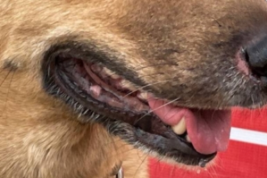 Новость дня