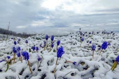 Новость дня
