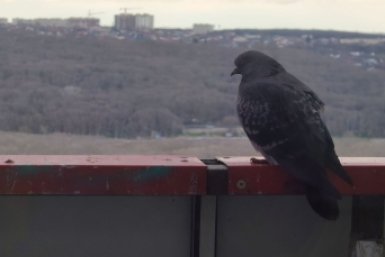 Синоптики прогнозируют погодные качели на выходных на Ставрополье ИА Stavropol.Media