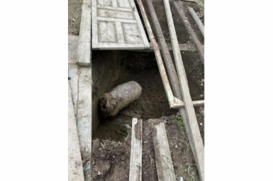 Ставропольские спасатели вызволили барана Борю, угодившего в яму ПАСС СК