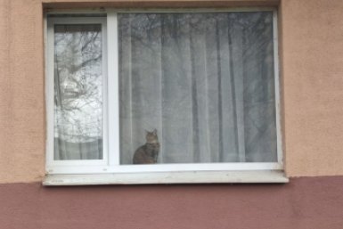 Недвижимость ИА Stavropol.Media