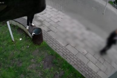 Новость дня