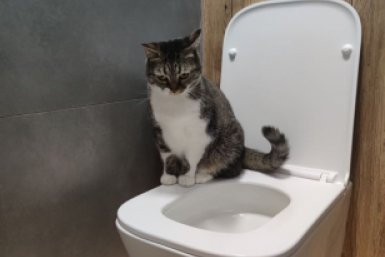 Засыпаю 3 ложки — и жёлтый налёт в унитазе исчезает за ночь: 3 народных способа