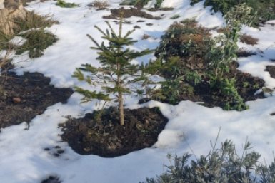 Заморозки прогнозируют на все майские выходные на Ставрополье ИА Stavropol.Media