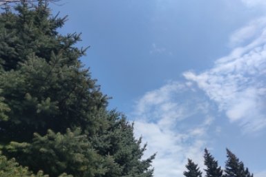 Украинский БПЛА сбили над Ставропольем ИА Stavropol.Media