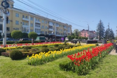Новая неделя на Ставрополье начнется в летней погоды ИА Stavropol.Media