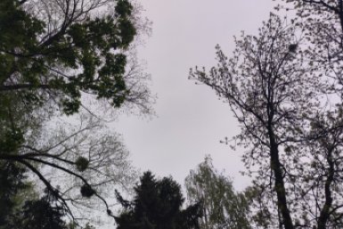 Ещё БПЛА сбили над территорией Ставрополья с утра ИА Stavropol.Media