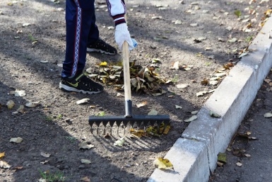 Экс-главу учреждения в Ессентуках подозревают в фиктивном найме родителей Ольга Брютова, ИА UssurMedia