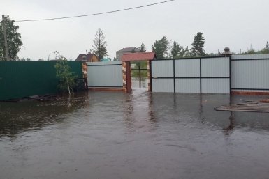 Новость дня