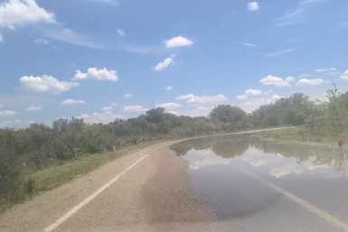 Новость дня