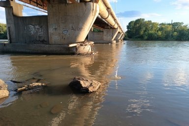 Серую цаплю заметили под строящимся мостом в центре города Рукомеда Е. М., ИА EAOMedia.ru