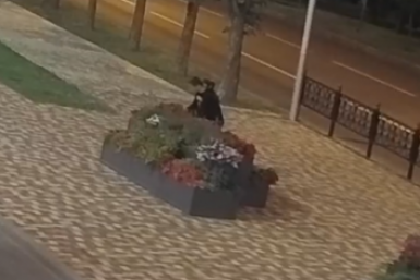 В полицию заявили на вандалов, укравших цветы из новых вазонов в центре Ставрополя соцсети Ивана Ульянченко