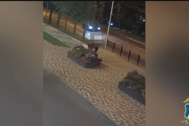 Новость дня