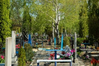 Ходить на кладбище после заката из-за медведя запретили в одном из городов России Артём Хорошилов  , ИА Stavropol.Media