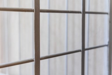 Три года колонии получила женщина за продажу несуществующих щенков чихуахуа на Ставрополье Евгений  Кулешов, ИА PrimaMedia.ru